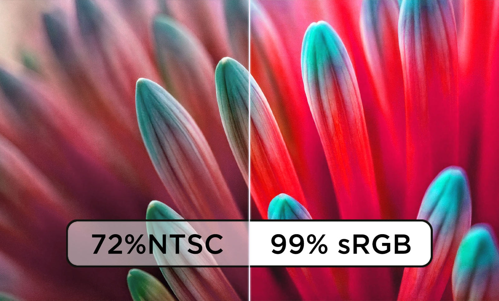 Lenovo ThinkVision P24QD-40 23.8