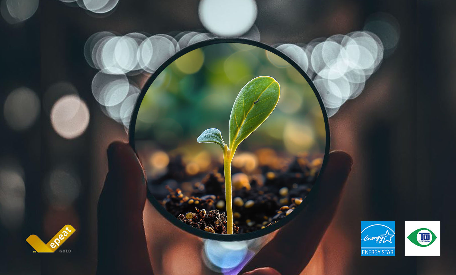 Lenovo ThinkVision P24QD-40 23.8